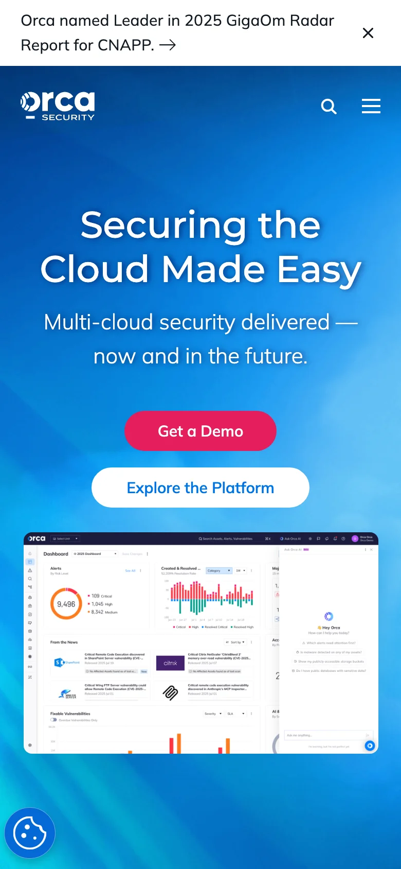 Orca Security — Móvil