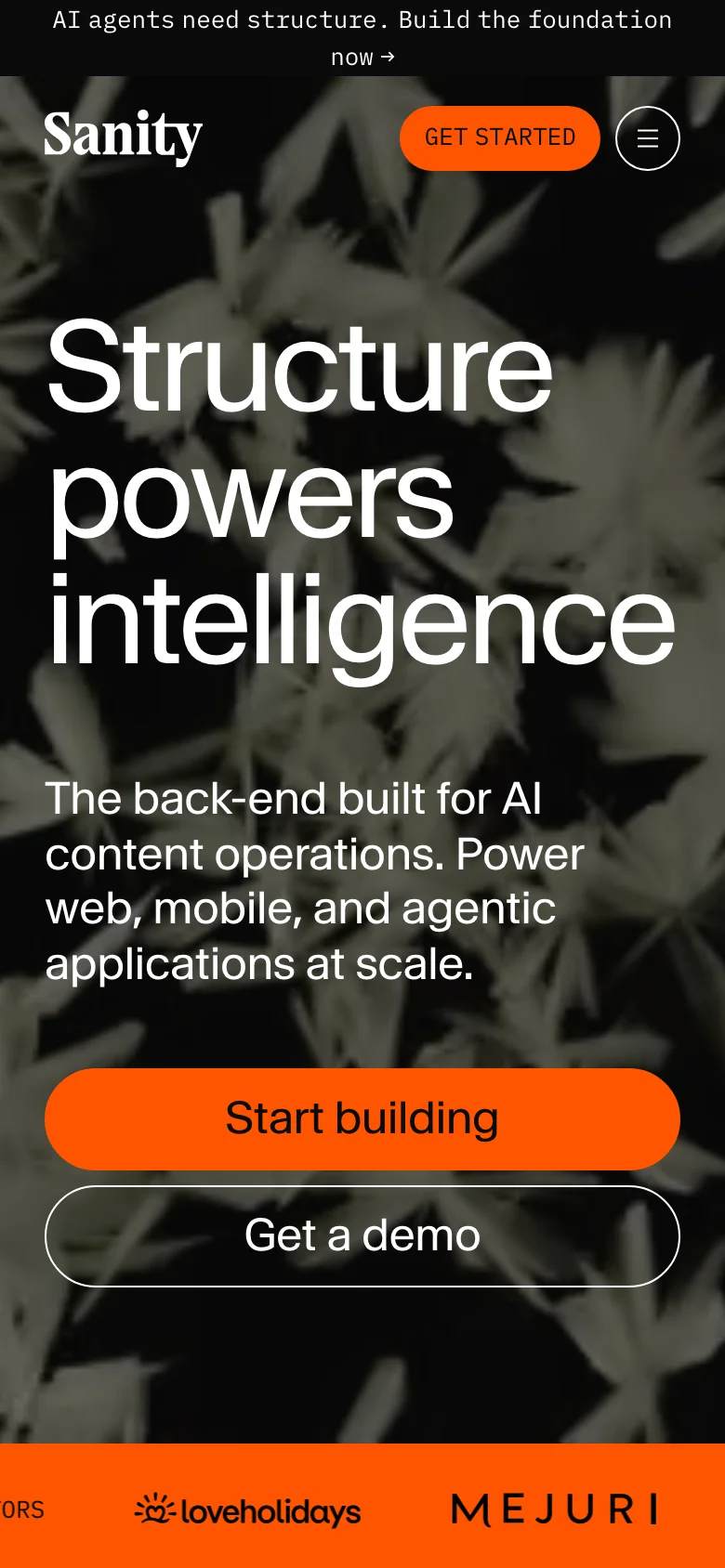 Sanity — الجوال